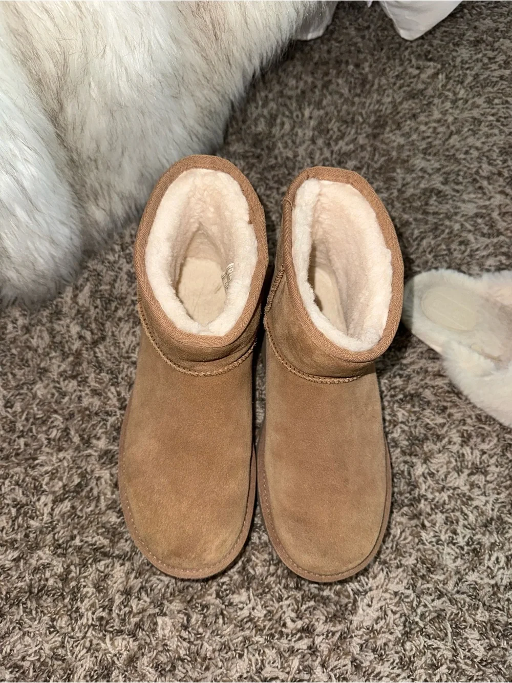 UGG Classic mini platform boot in chestnut
